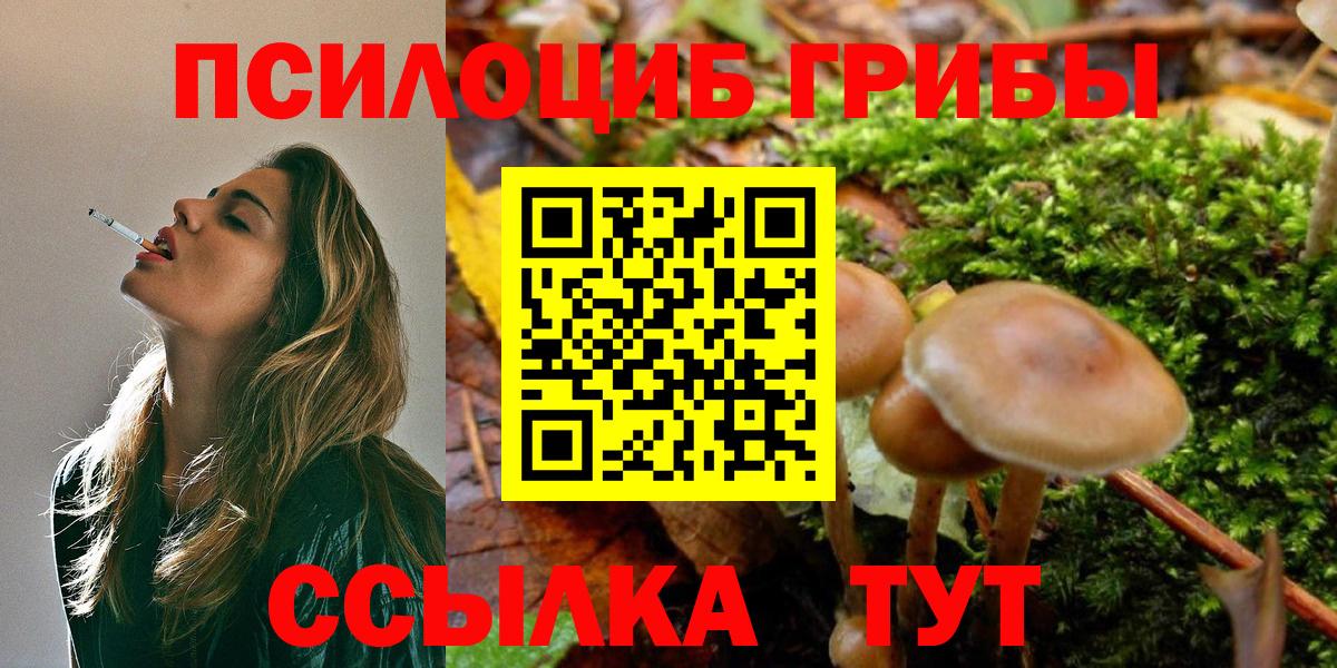Псилоцибиновые грибы Cubensis Астрахань