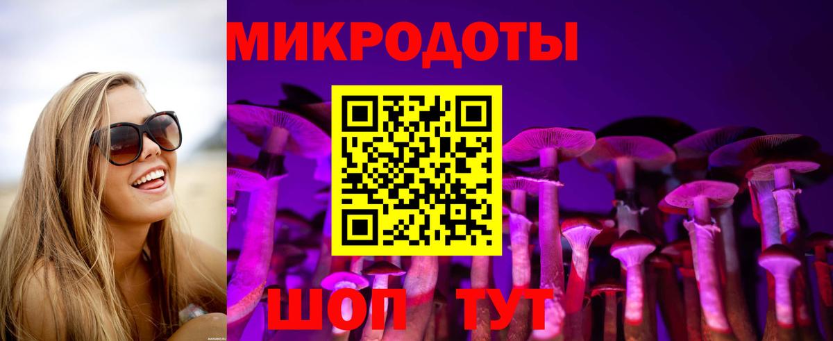 Псилоцибиновые грибы Psilocybe  Вход с VPN  Астрахань 